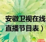 安徽网络电视台直播(安徽网络电视台频道)